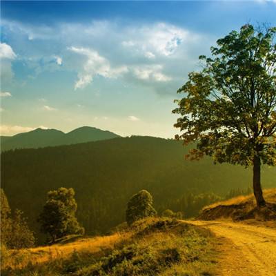 十大体育外围平台网址